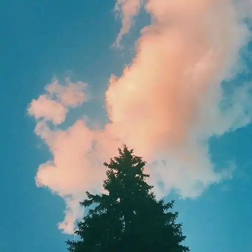 头像图风景图片大全头像