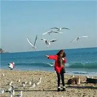  高冷冷淡风风景头像微信头像图片大全