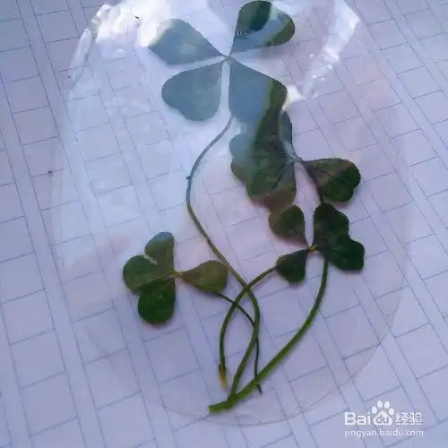  四叶草透明书签制作视频教程