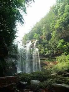  瀑布专辑第7页龙凤吉祥