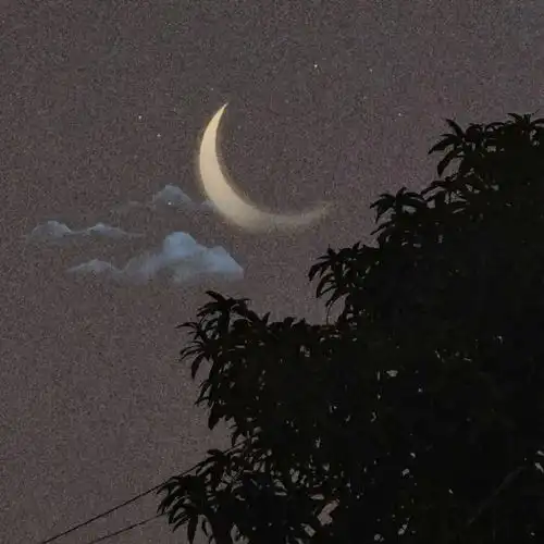  那些看一眼就想摘抄的句子