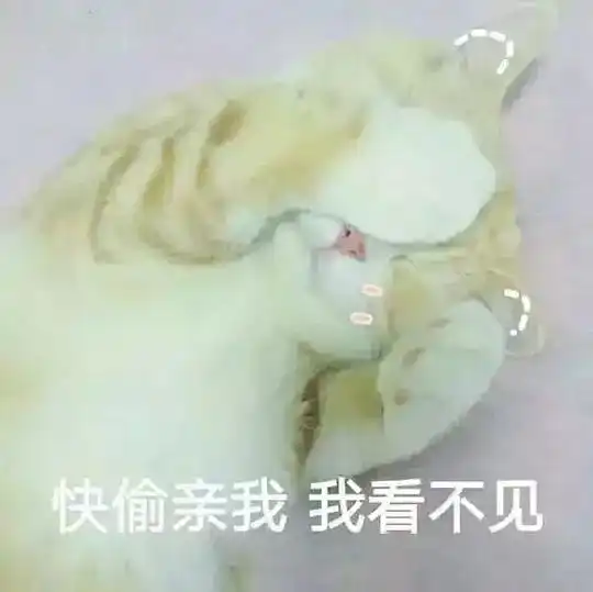  大路的相册动物表情包
