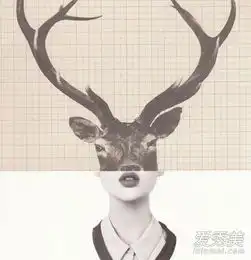  女人心海底针给十二星座女友的最佳圣诞礼物