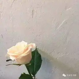  甘谷一小伙对父母催婚的感受