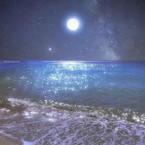  官宣文案你与星光,同样浪漫
