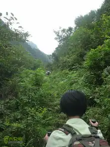  富阳,杏梅尖环线p1020423