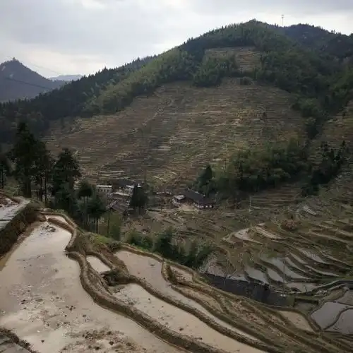  紫鹊界风景区门票,紫鹊界风景区游玩攻略360地图