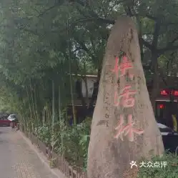  电话,地址,价格,营业时间富阳区美食