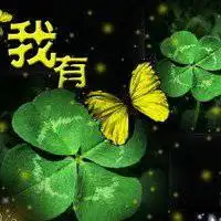  小清新四叶草微信头像微信头像图片大全