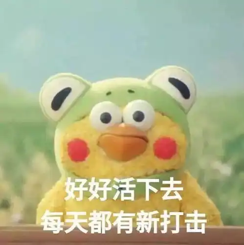  我为什么要作死把火锅底料倒进马桶里啊啊啊更