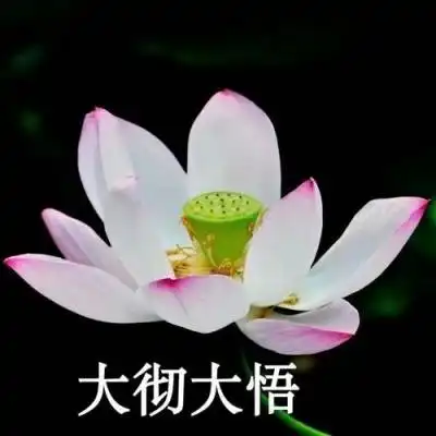 女人用的幸运花头像带字