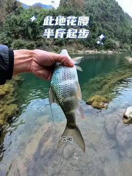 带小姨子去钓鱼,没想到竟是这种结局原来钓鱼才是抖音运动顶流钓鱼人就是这么疯狂