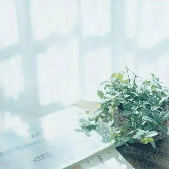 一书一茶韵微信头像知己