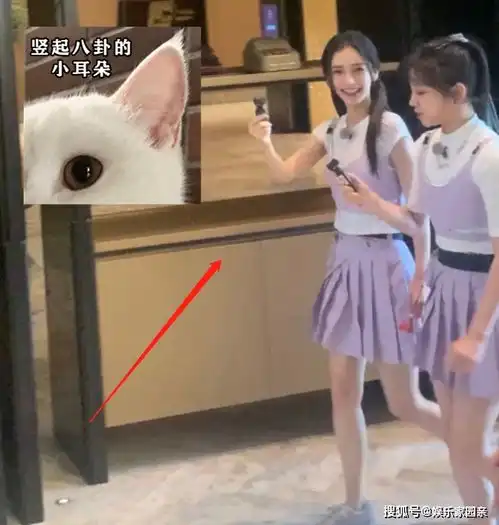  跑男9录制尾声,蔡徐坤陈立农互动有爱,哪知杨颖宋雨琦引关注