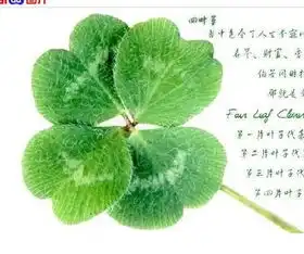  我想要qq群四叶草的那个头像谁有啊