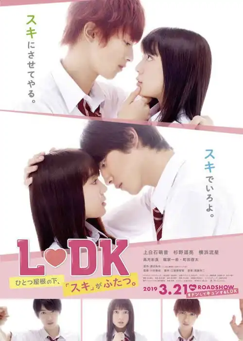  今日acg丨动画我想吃掉你的胰脏即将在中国上映,水果篮子新作特报视频公开