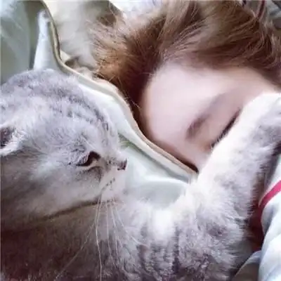  猫也有依赖心理如何判断一只猫是真的对你有感情还是只是为了混口饭吃