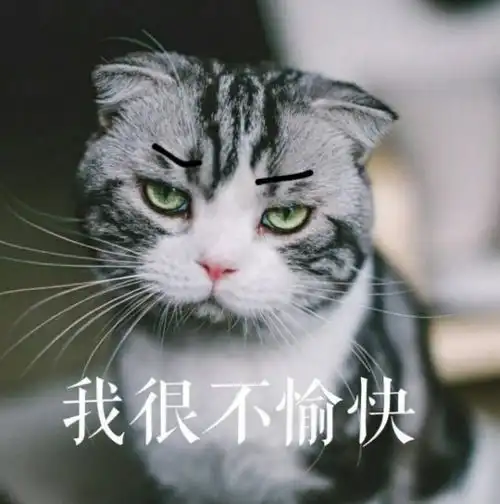  猫咪一定要吃化毛膏吗