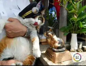  日本猫二玉接受站长委任状拜谒老领导