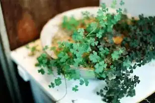  人生与命运无关,与自己的选择有关