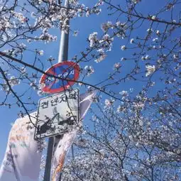  慢时光唯美手举高微信头像