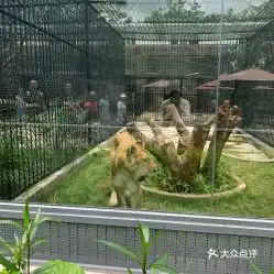  电话,地址,价格,营业时间深圳周边游