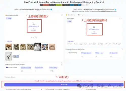  5分钟教你用ai做表情迁移,让一只猫萌萌哒的唱歌腾讯新闻