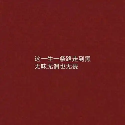  你能读懂我的文字,大概你也有和我相同的故事