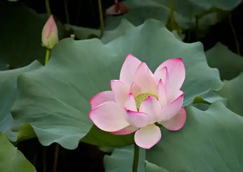  出生在这3个时辰的人,生来有福气,一生富贵又吉祥