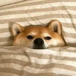  帮忙想一下
