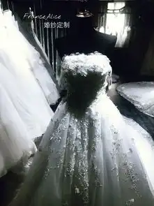  幸运草照片幸运草图片幸运草素材wed114美图