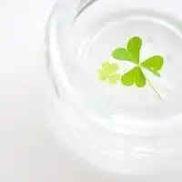  急求关于四叶草的qq头像