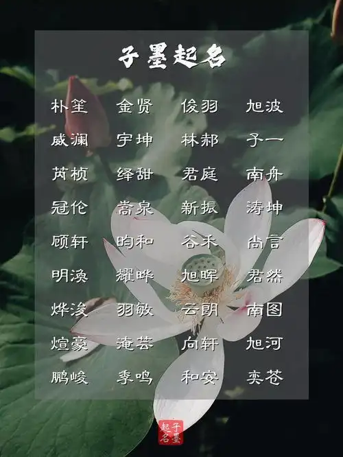  精选男宝宝名字红日初升,其道大光,熠熠生辉的男孩名字