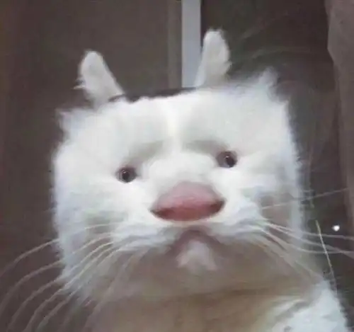  第一次和成师......