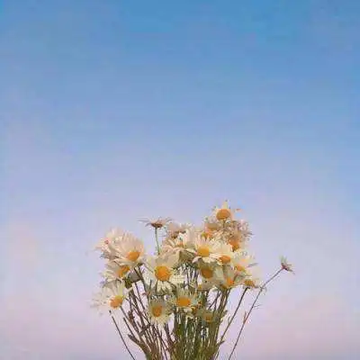  皇冠城娱乐