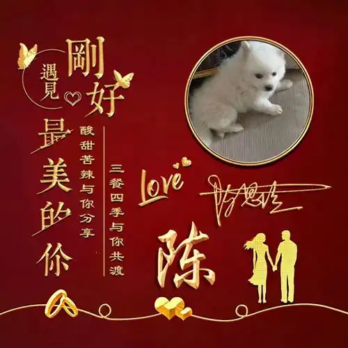  2021你的微信头像该换了,36张3d励志专属个性签名头像,敬请笑纳