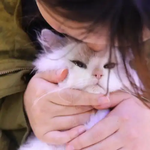 压力太大养不起孩子,我就把猫当小孩养,结果