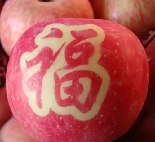  农家自产特色带字苹果克拉玛依