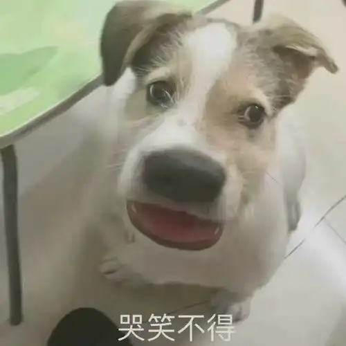  e句话看天下丨福原爱有新恋情