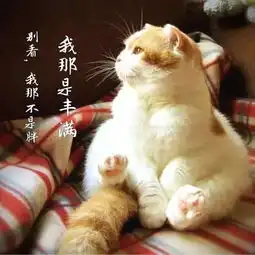  跟30说拜拜,枣庄人迎来一年中的好时光可周末两天又得泡汤了