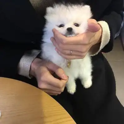  带动物暖心头像酷部位男生猫男生头像我要个性网
