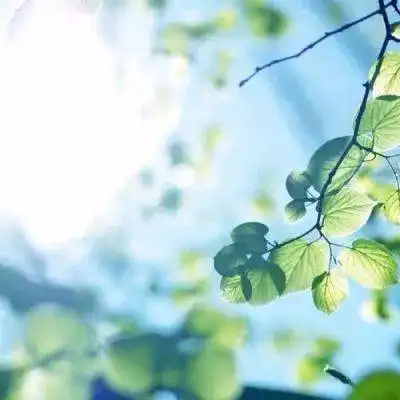  简单头像微信大方简单头像小图案简约头像干净高清微信头像简约干净