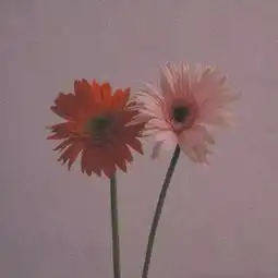  我坐了一夜也没等到你,我想不是你不够爱我,是这夜不够长