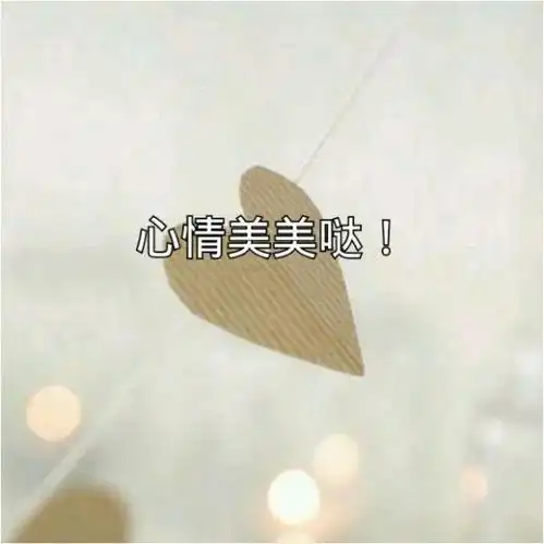  心情美美哒的简短句子,表达心情美丽的优雅句子