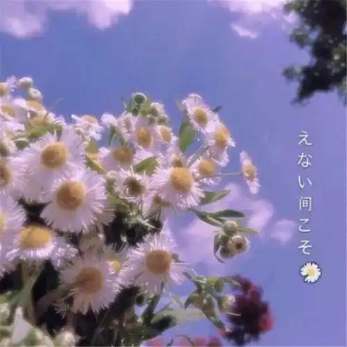  适合官宣的恋爱说说,愿此间,山有木兮卿有意,昨夜星辰恰似你