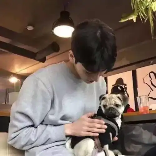  头像成长最痛的一课是那个你从未设防的人,朝你开了最猛的一枪