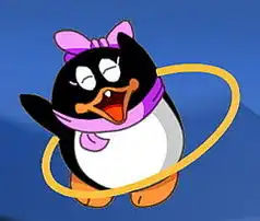  qq