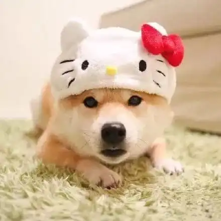 让人羡慕的微信头像可爱
