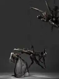  国际顶级摄影师stuartweston作品