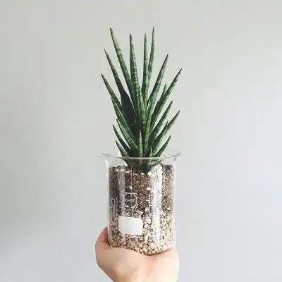  澳门6合图纸